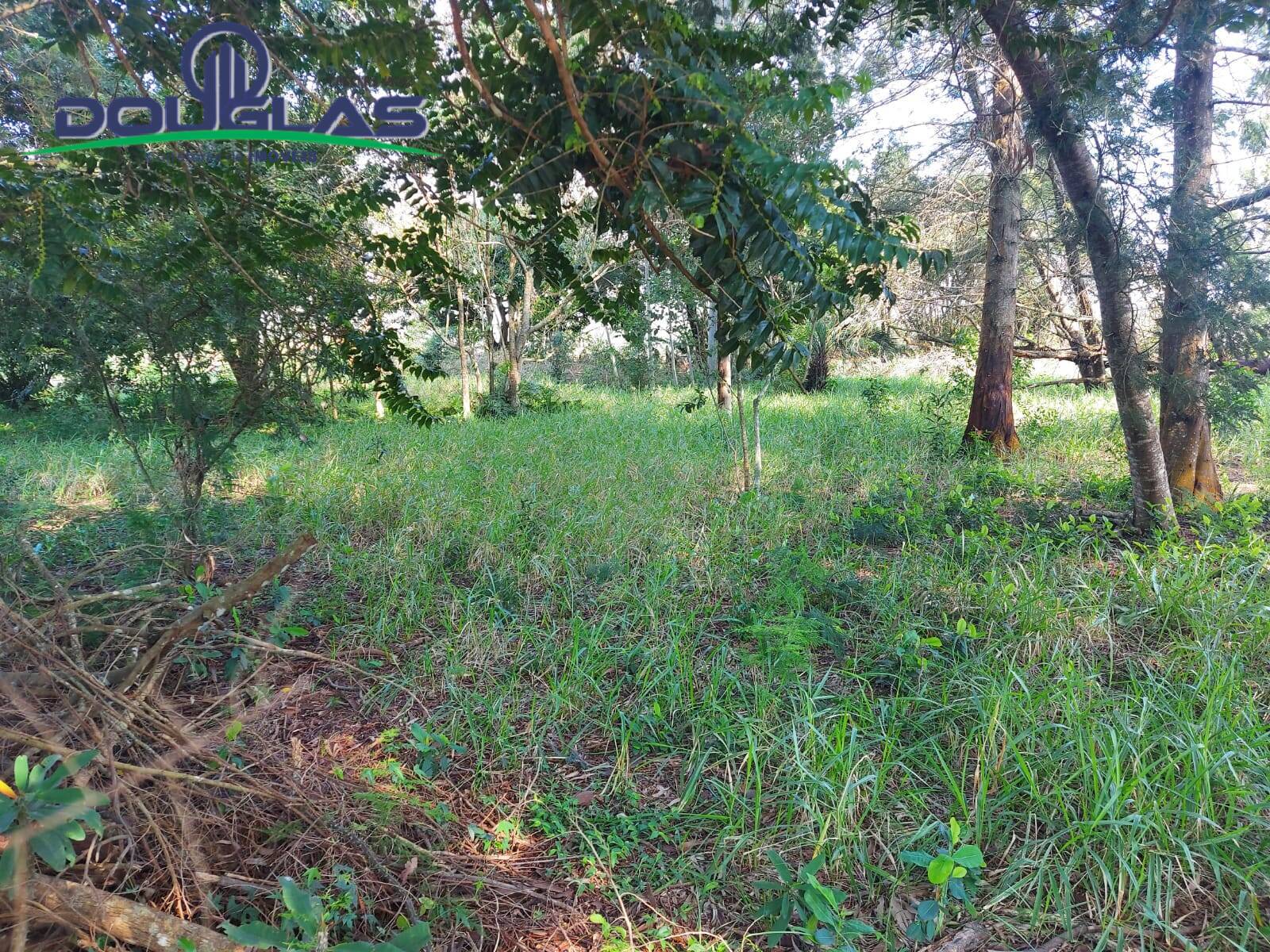 Terreno, 700 m² - Foto 7