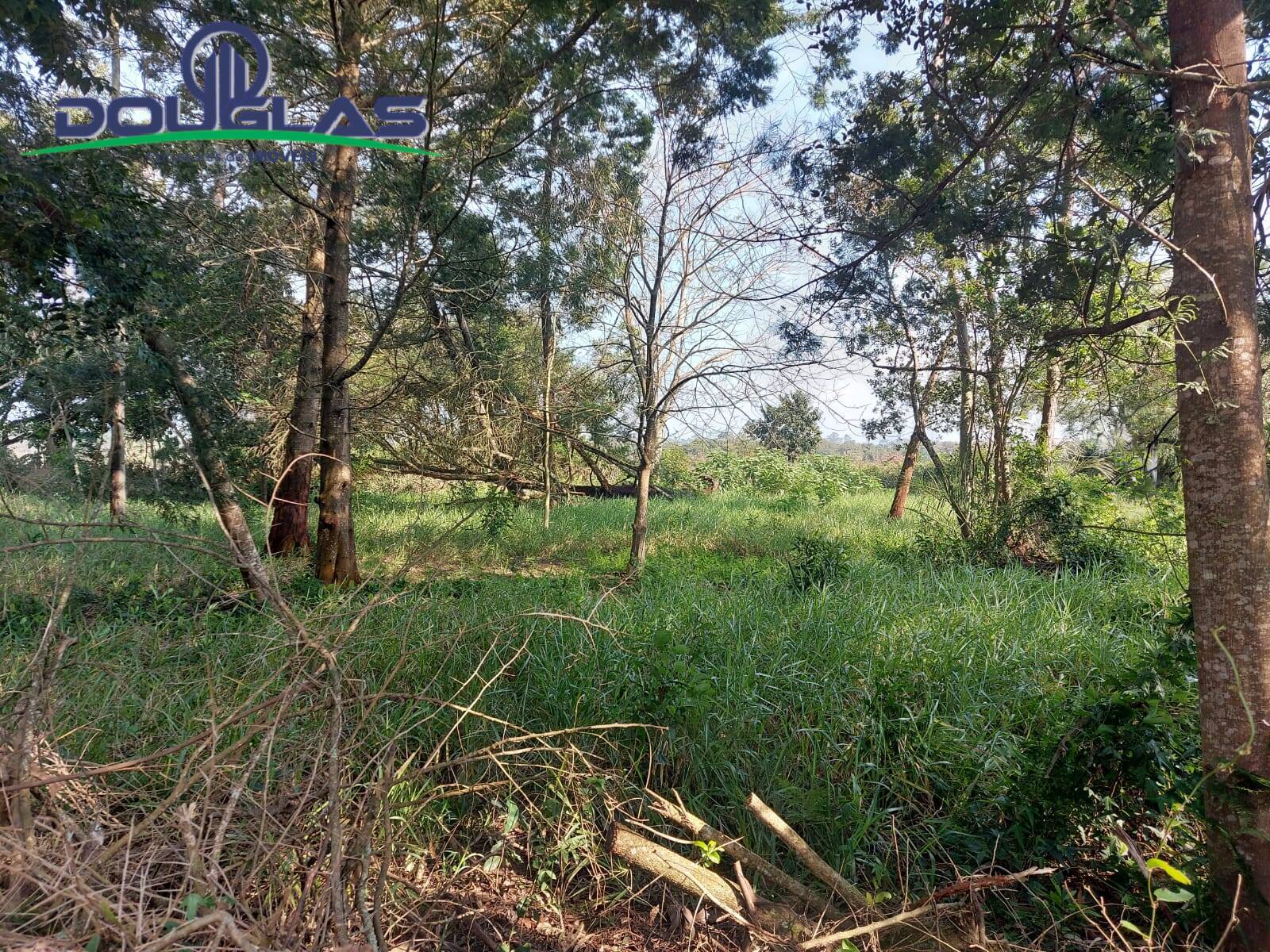 Terreno, 700 m² - Foto 8