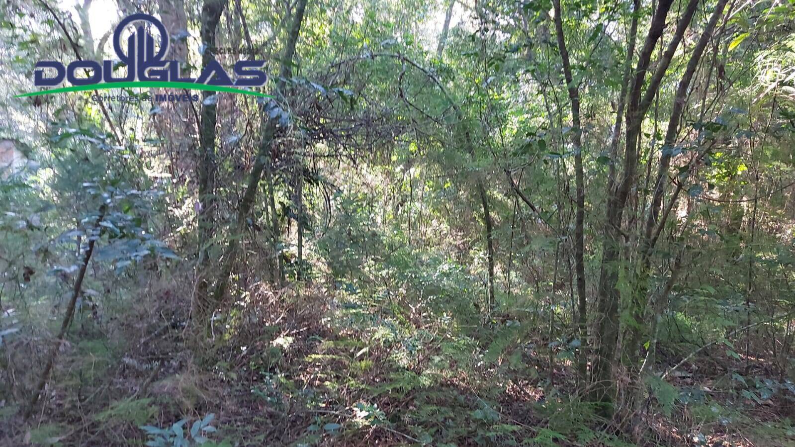 Terreno, 300 m² - Foto 1