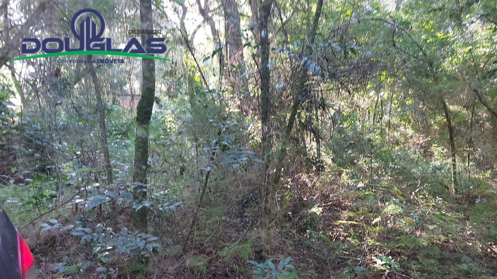 Terreno, 300 m² - Foto 2