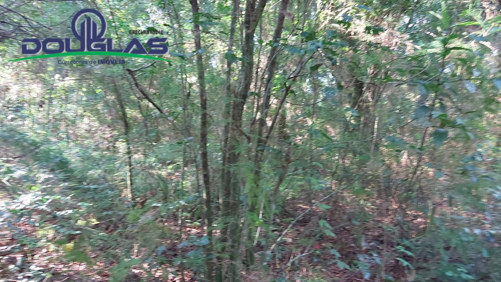 Terreno, 300 m² - Foto 5