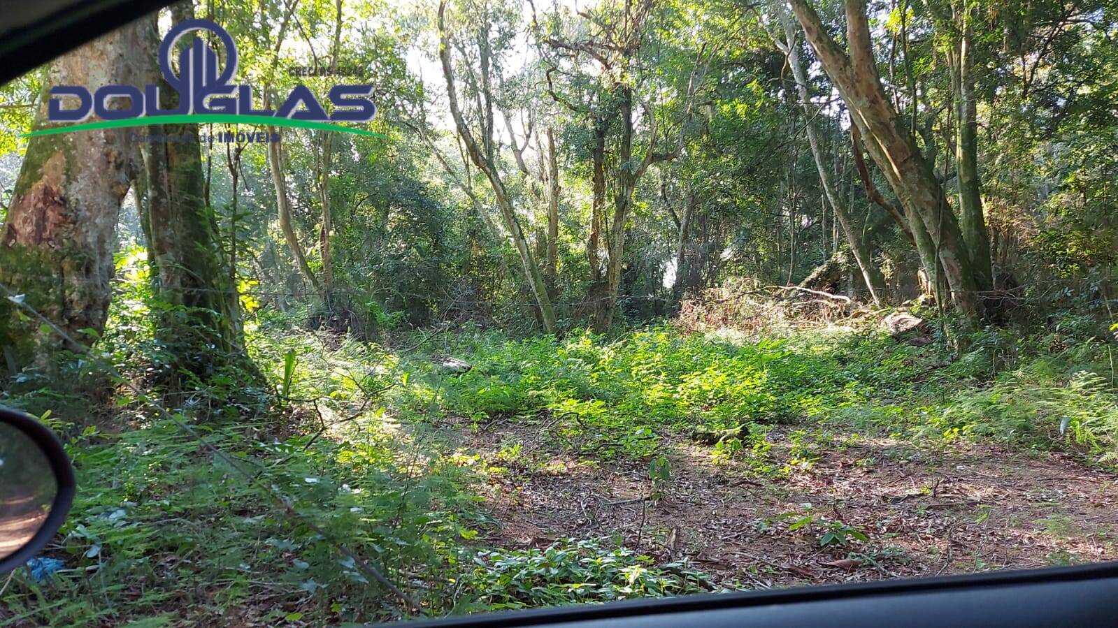 Terreno, 300 m² - Foto 4