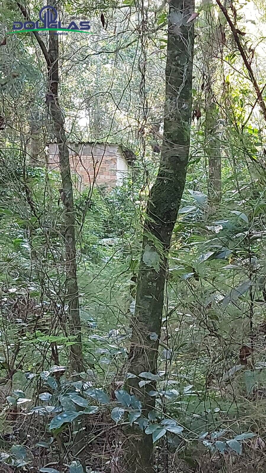 Terreno, 300 m² - Foto 3