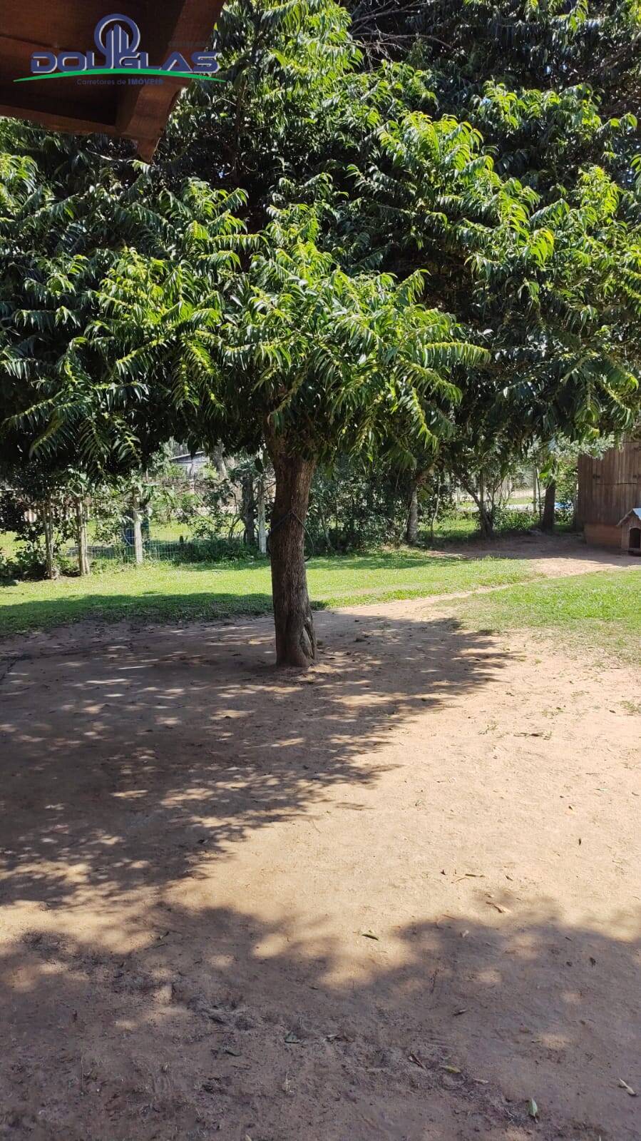 Casa, 3 quartos - Foto 14