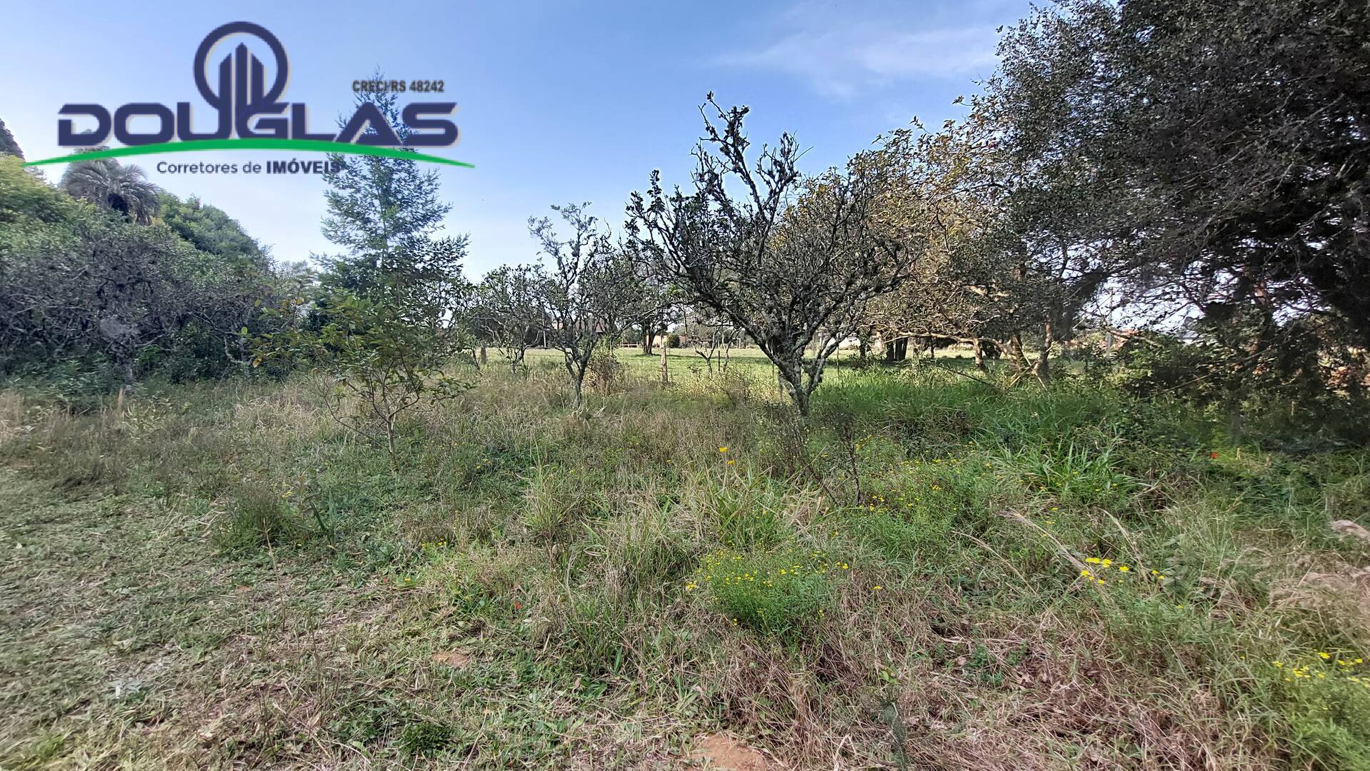 Sítio à venda com 3 quartos, 100m² - Foto 18