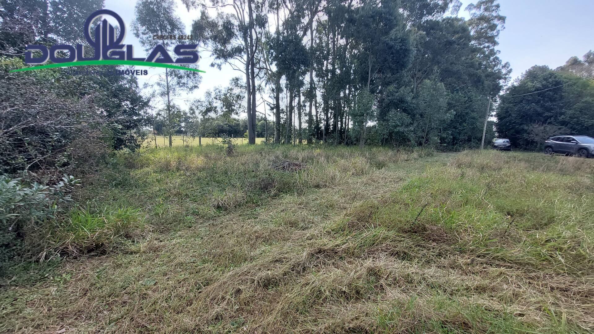 Sítio à venda com 3 quartos, 100m² - Foto 19