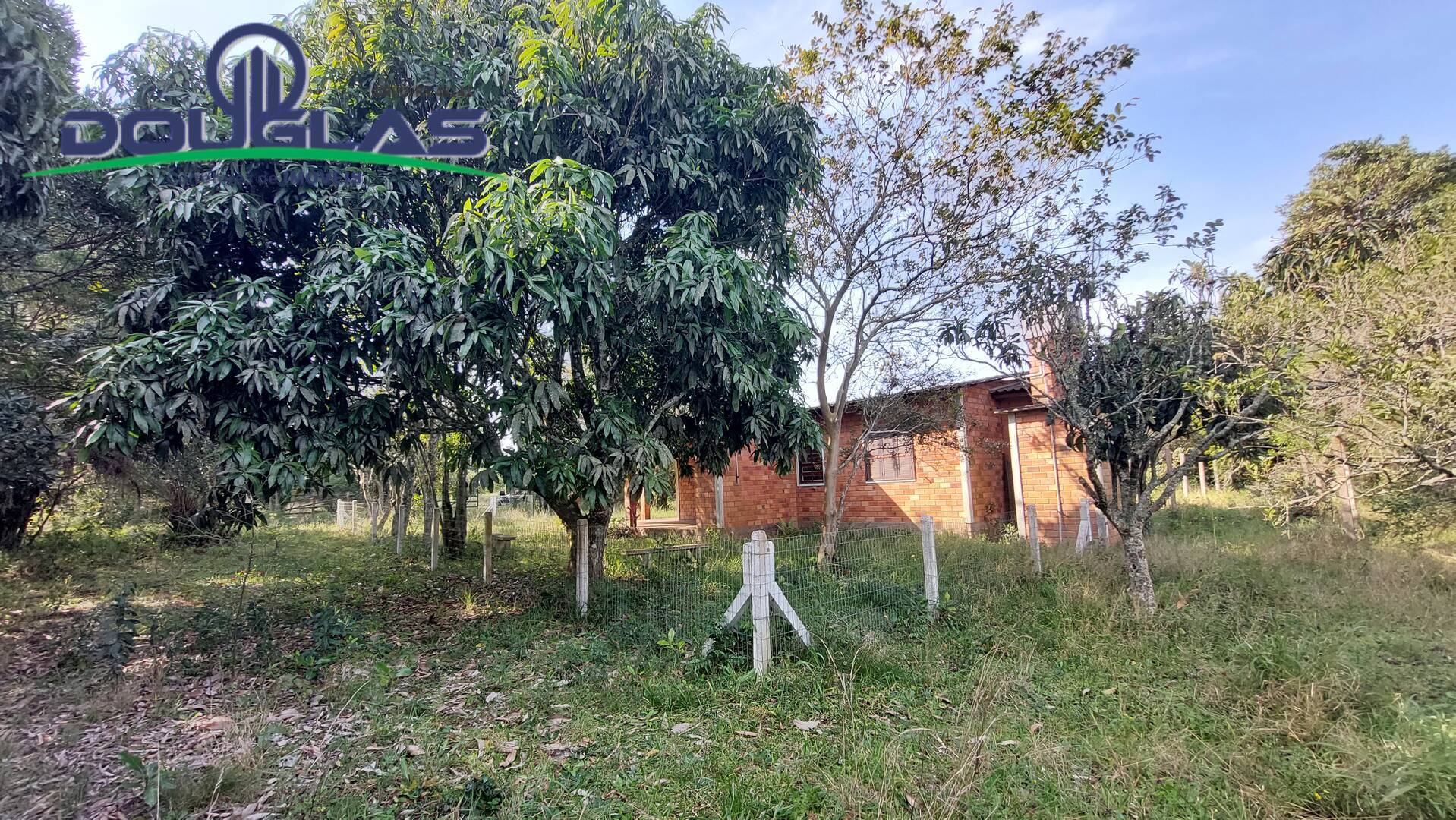 Sítio à venda com 3 quartos, 100m² - Foto 23