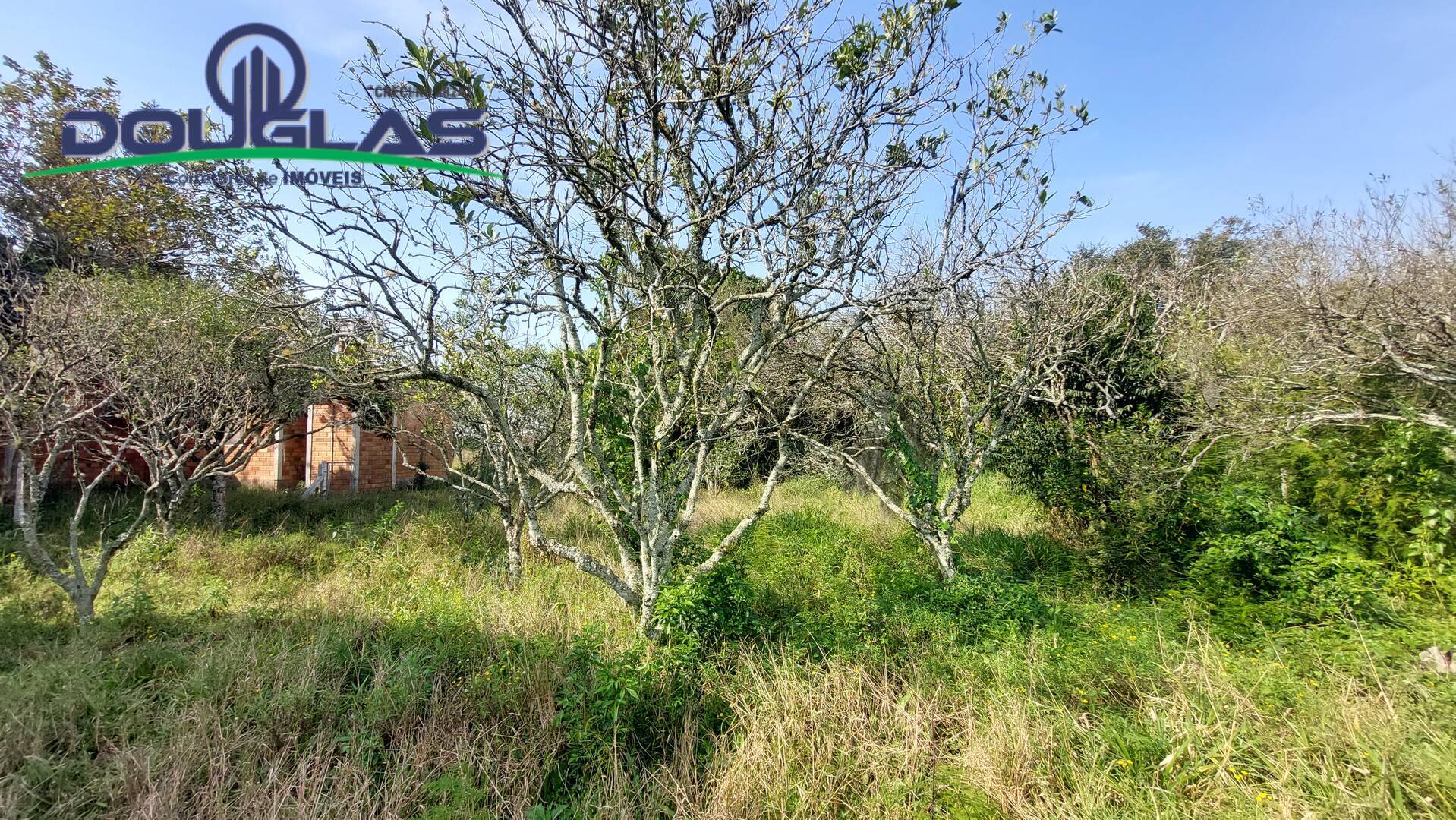 Sítio à venda com 3 quartos, 100m² - Foto 24