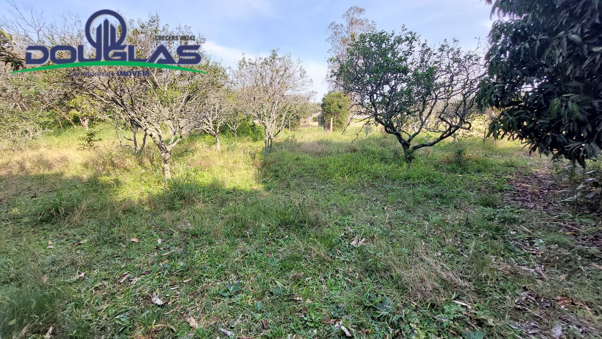 Sítio à venda com 3 quartos, 100m² - Foto 25