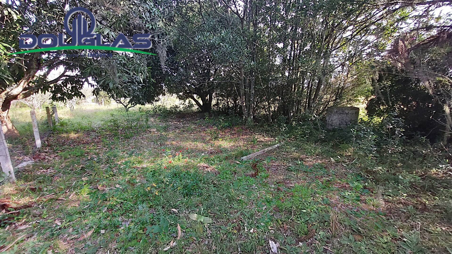 Sítio à venda com 3 quartos, 100m² - Foto 26
