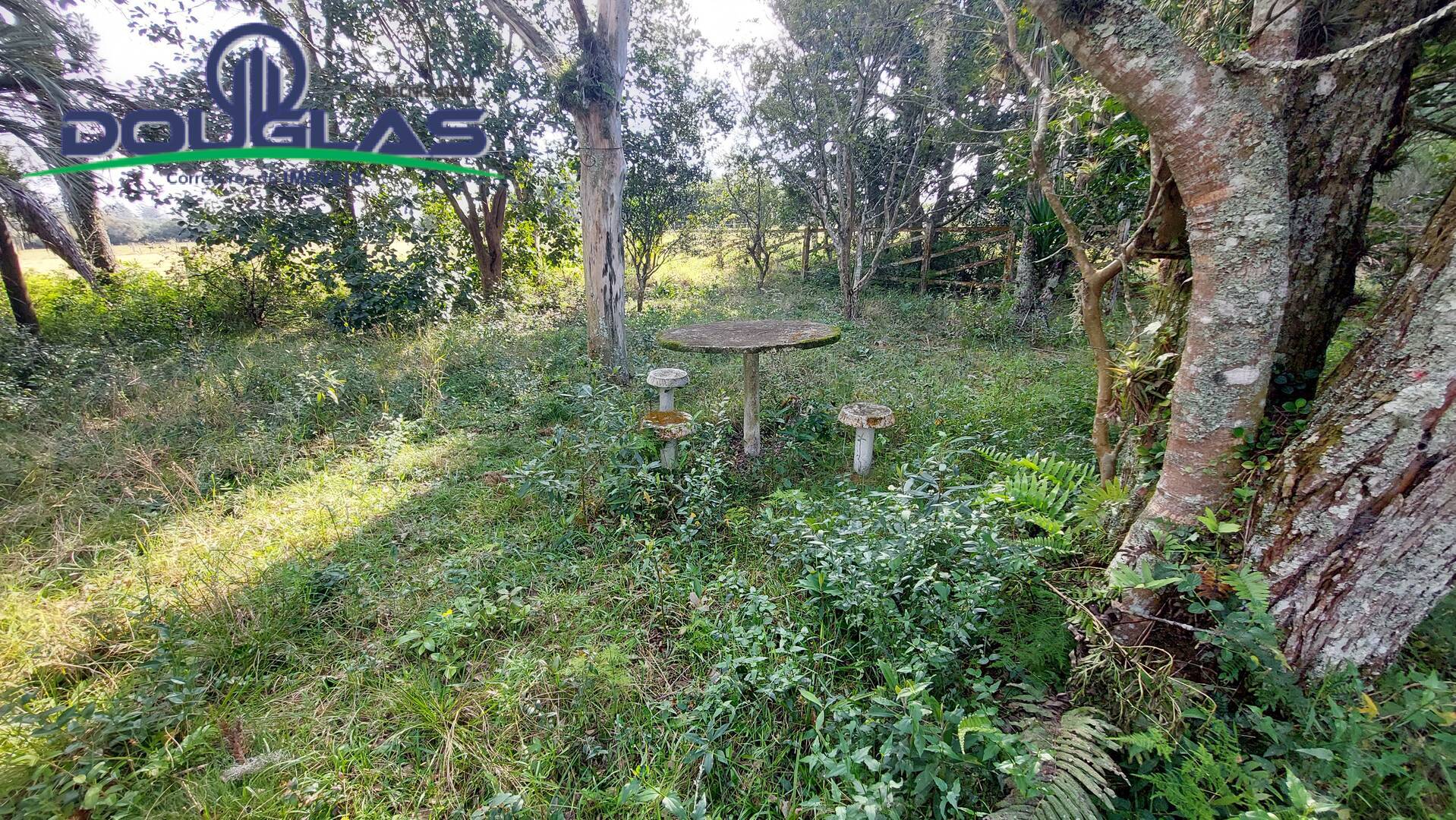 Sítio à venda com 3 quartos, 100m² - Foto 8