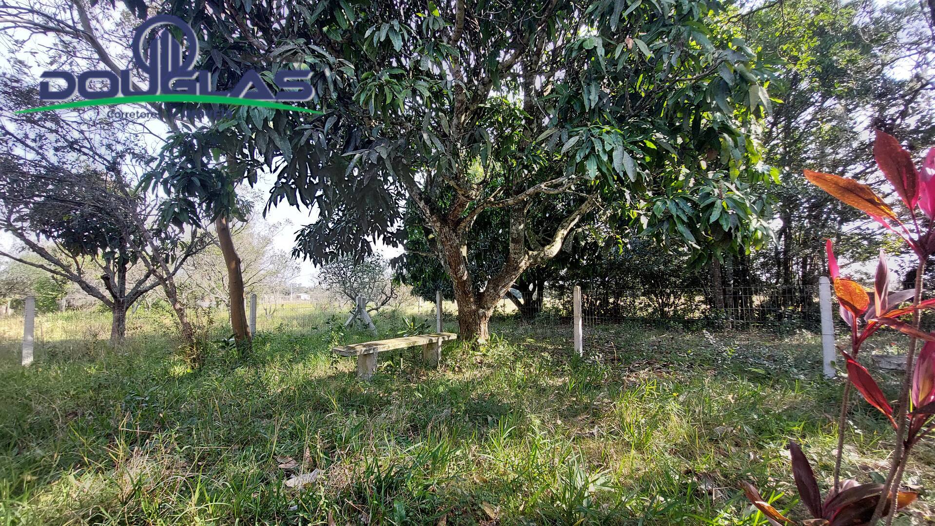 Sítio à venda com 3 quartos, 100m² - Foto 27