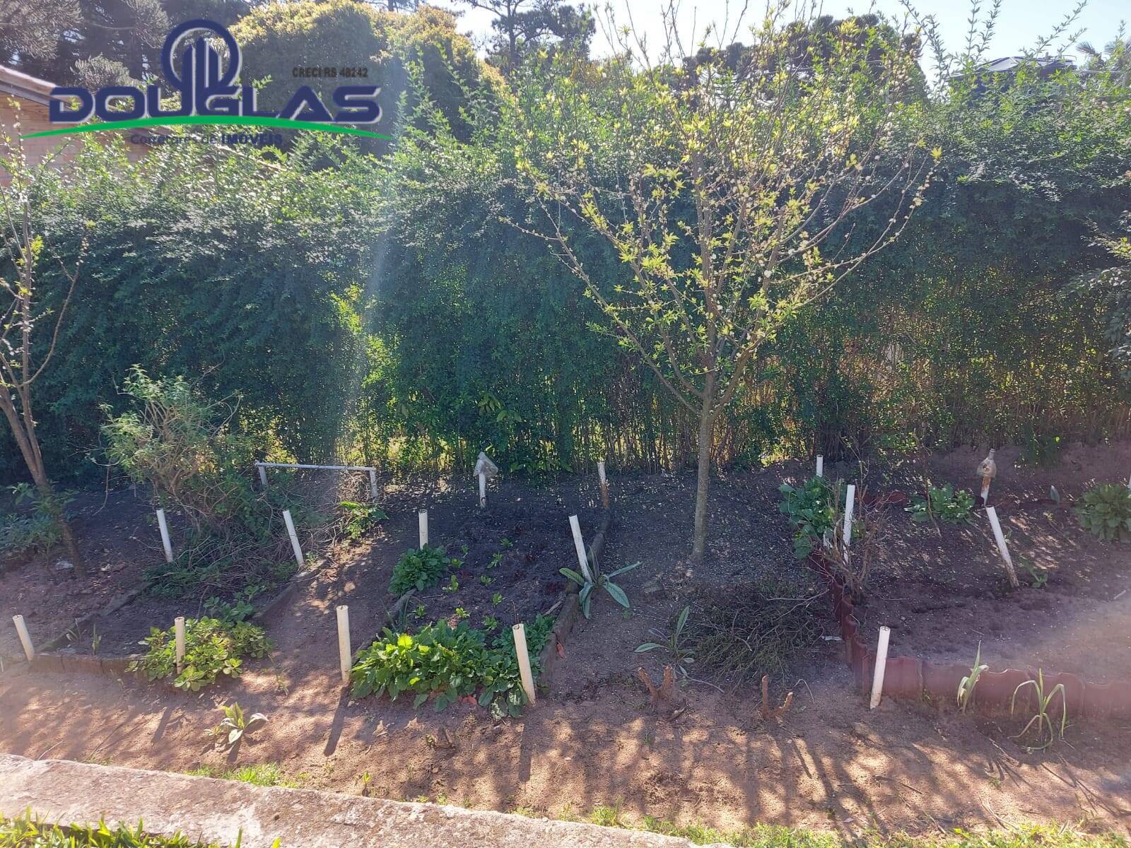 Casa, 3 quartos - Foto 36