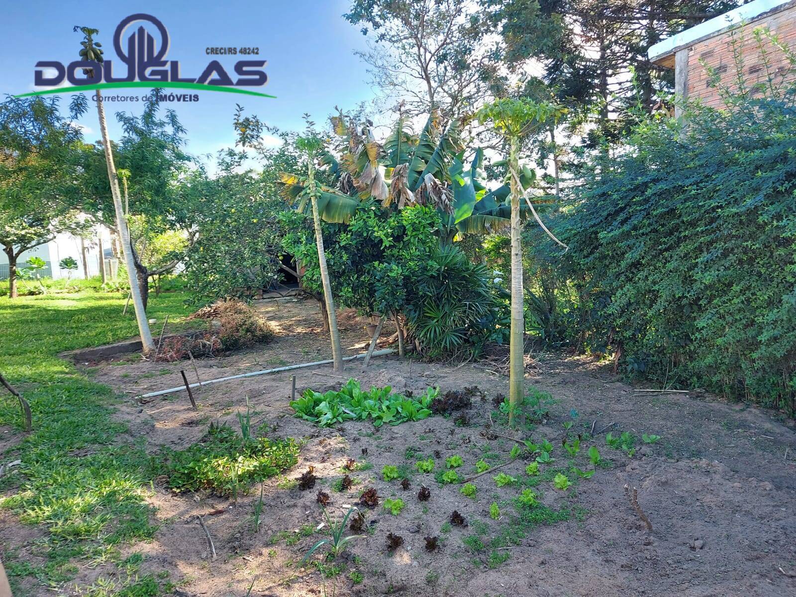 Casa, 3 quartos - Foto 37