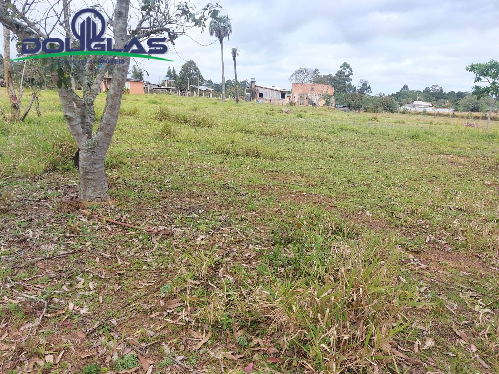 Terreno, 7954 m² - Foto 3