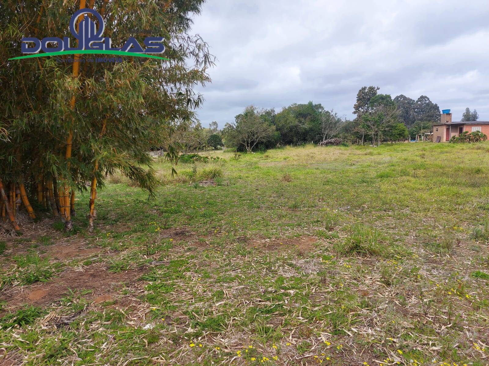 Terreno, 7954 m² - Foto 6