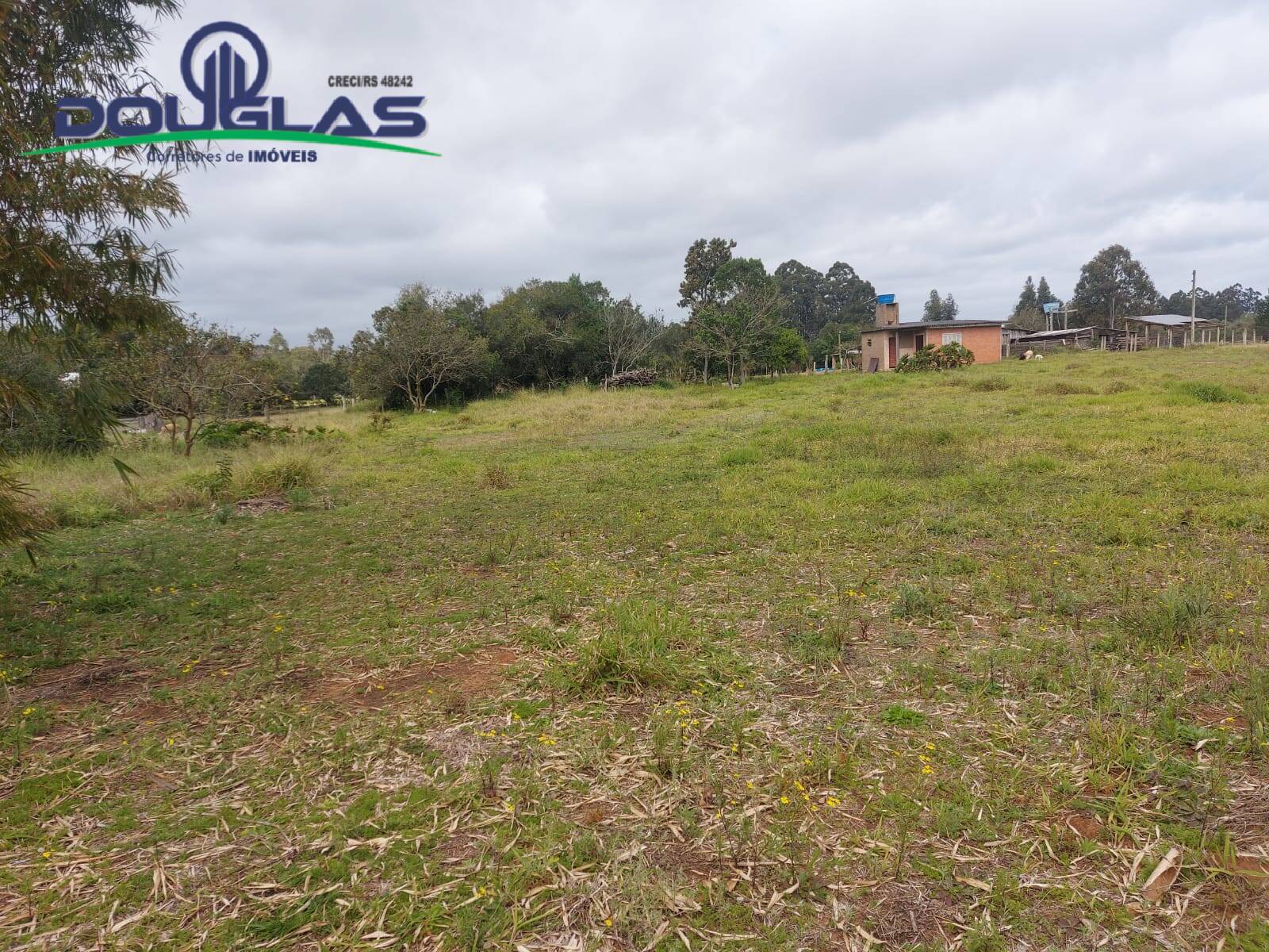 Terreno, 7954 m² - Foto 4