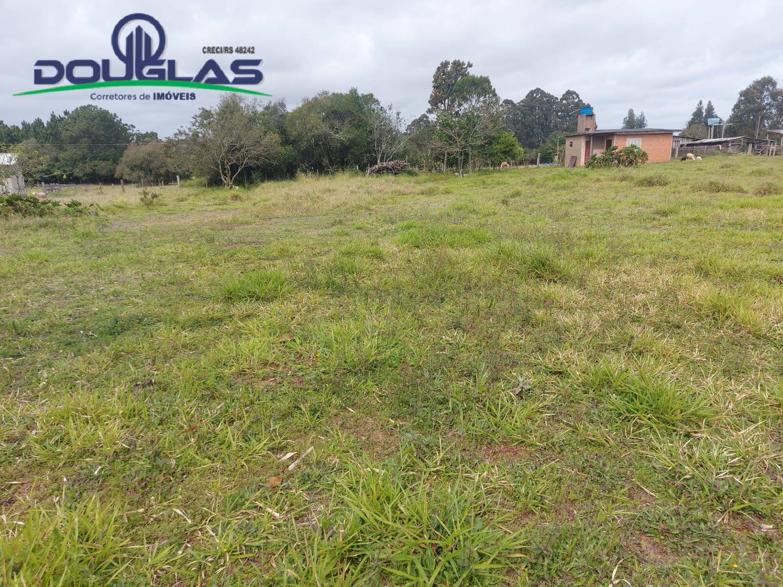 Terreno, 7954 m² - Foto 5