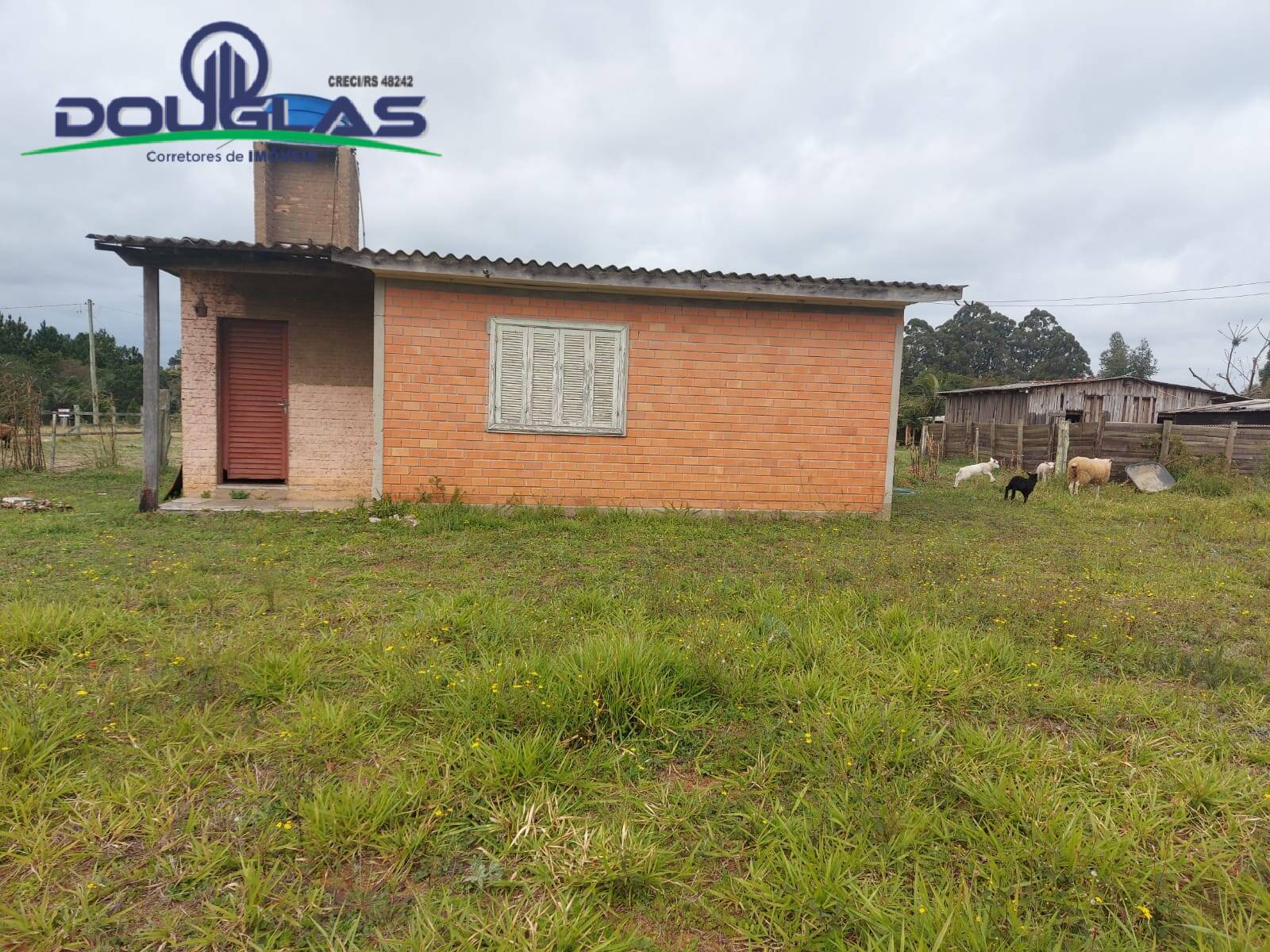 Terreno, 7954 m² - Foto 2