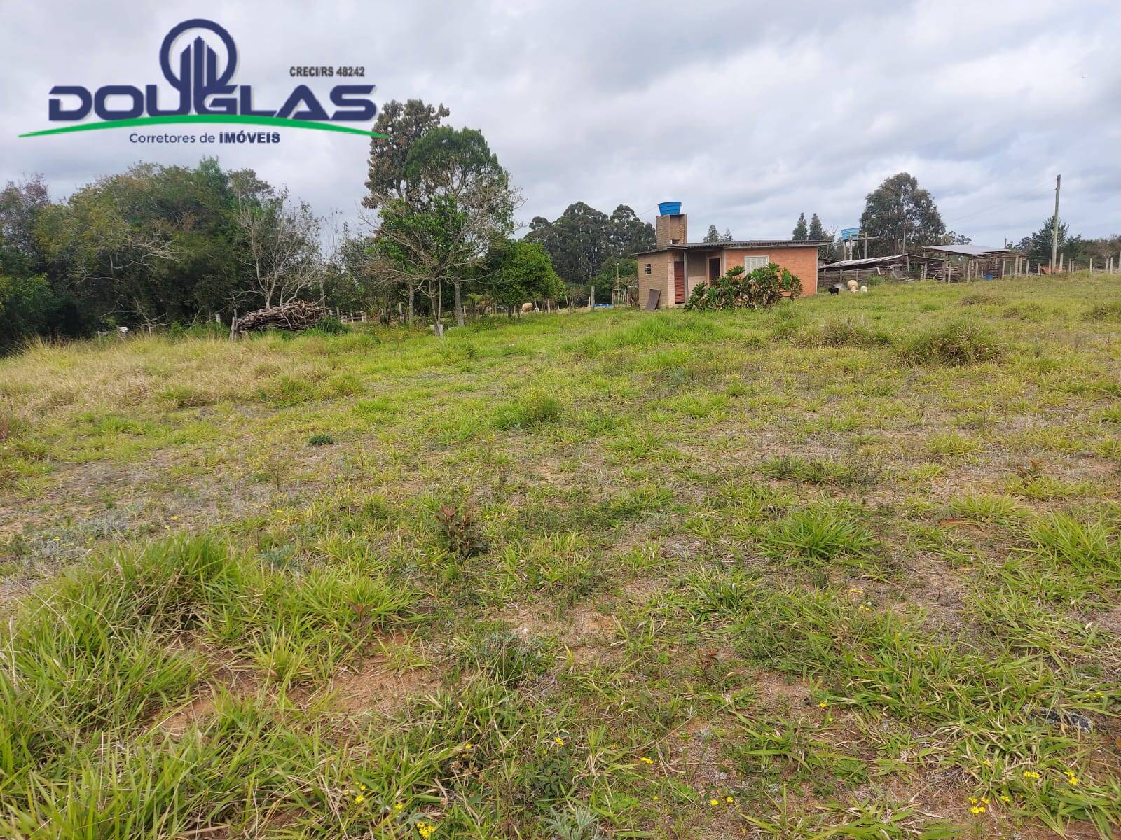 Terreno, 7954 m² - Foto 8