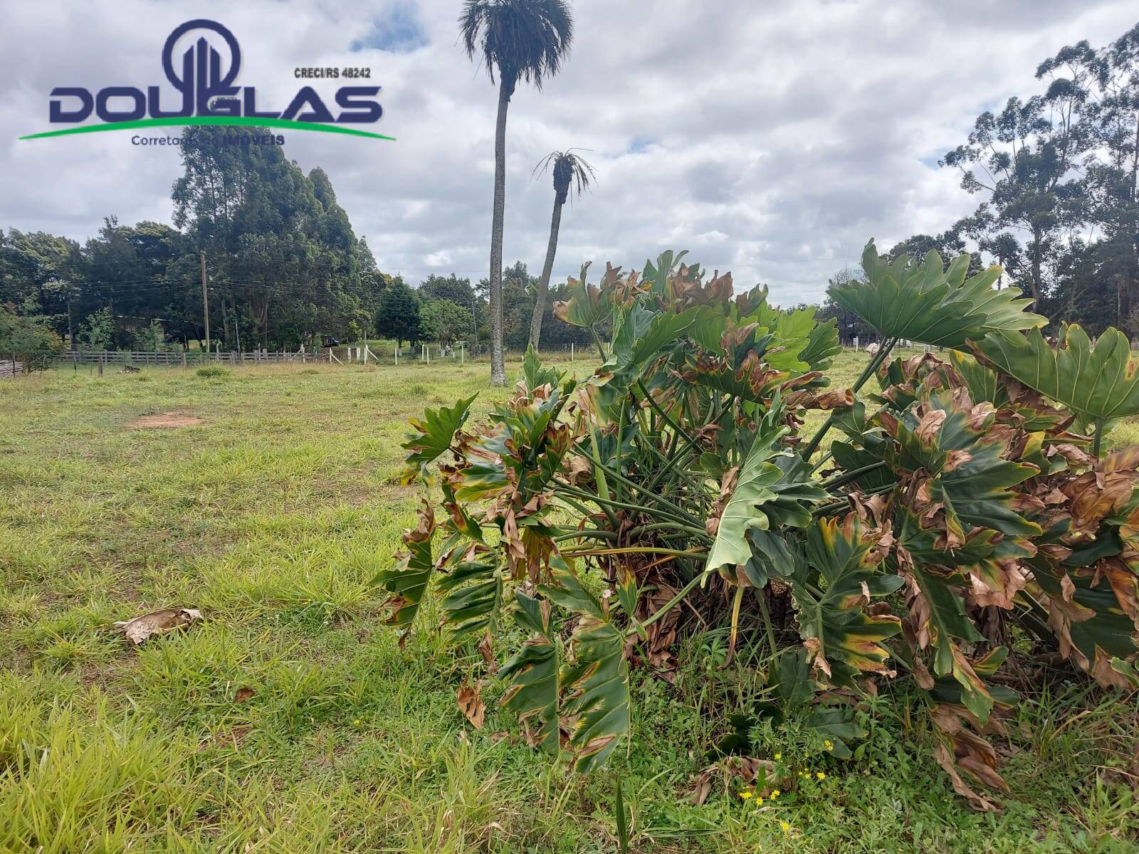 Terreno, 2088 m² - Foto 1