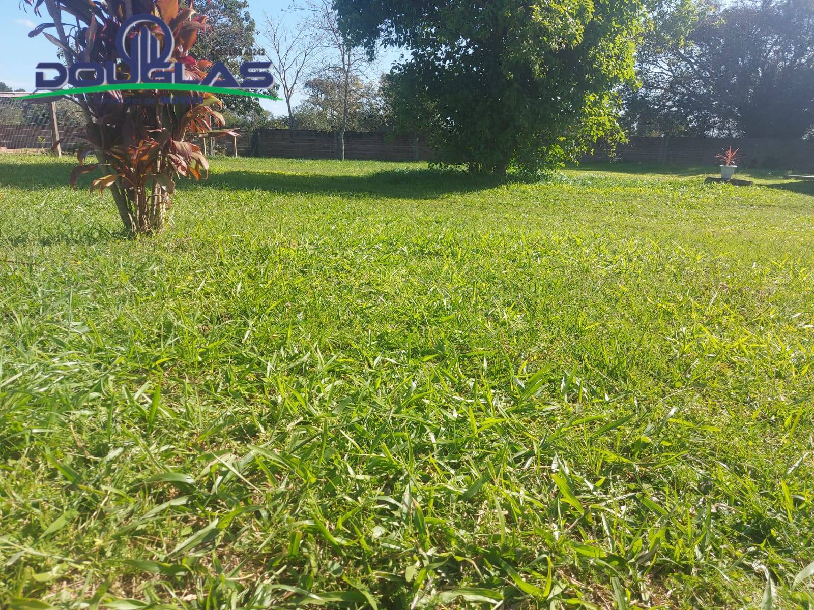 Terreno, 540 m² - Foto 4