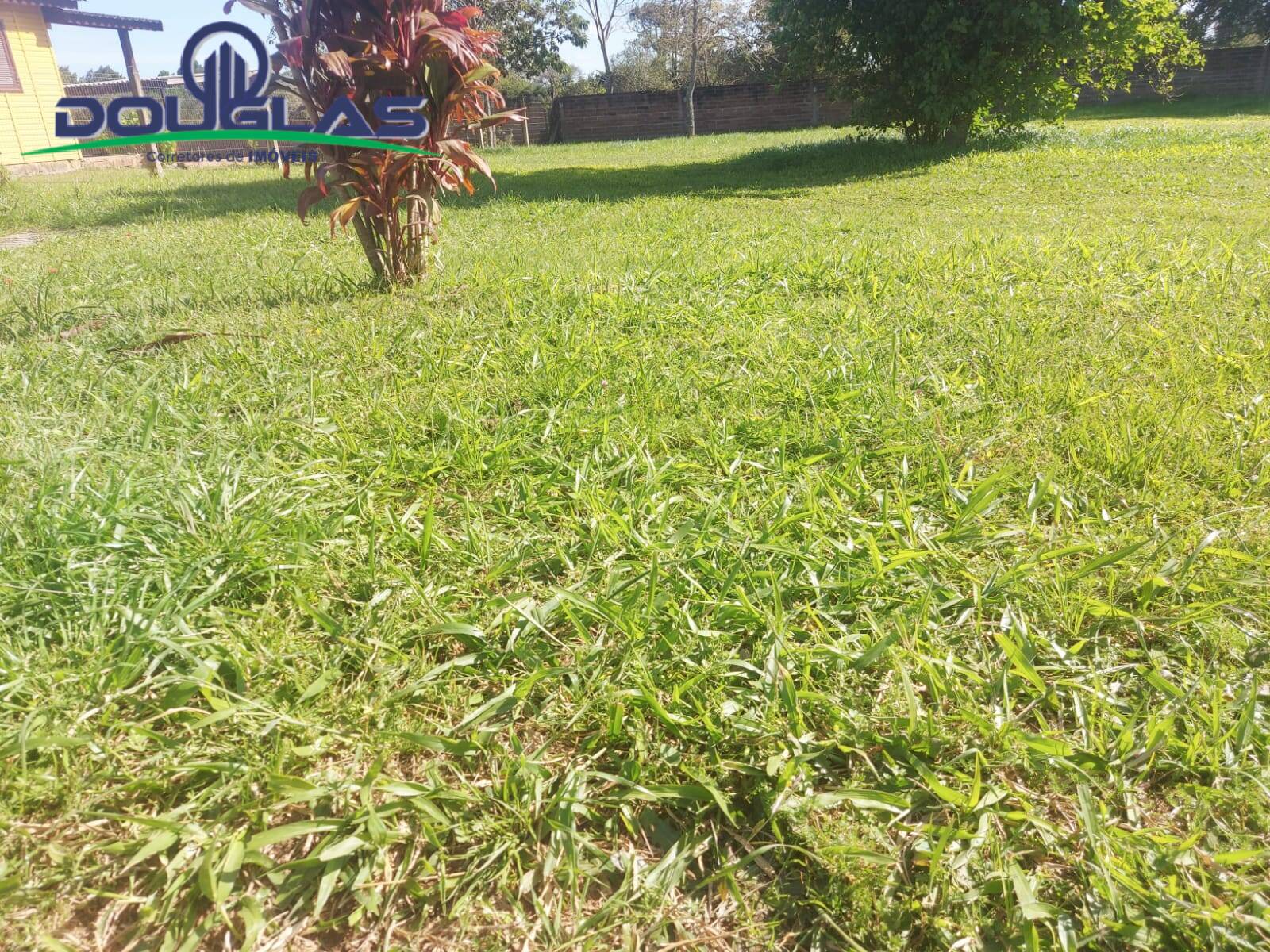 Terreno, 540 m² - Foto 5