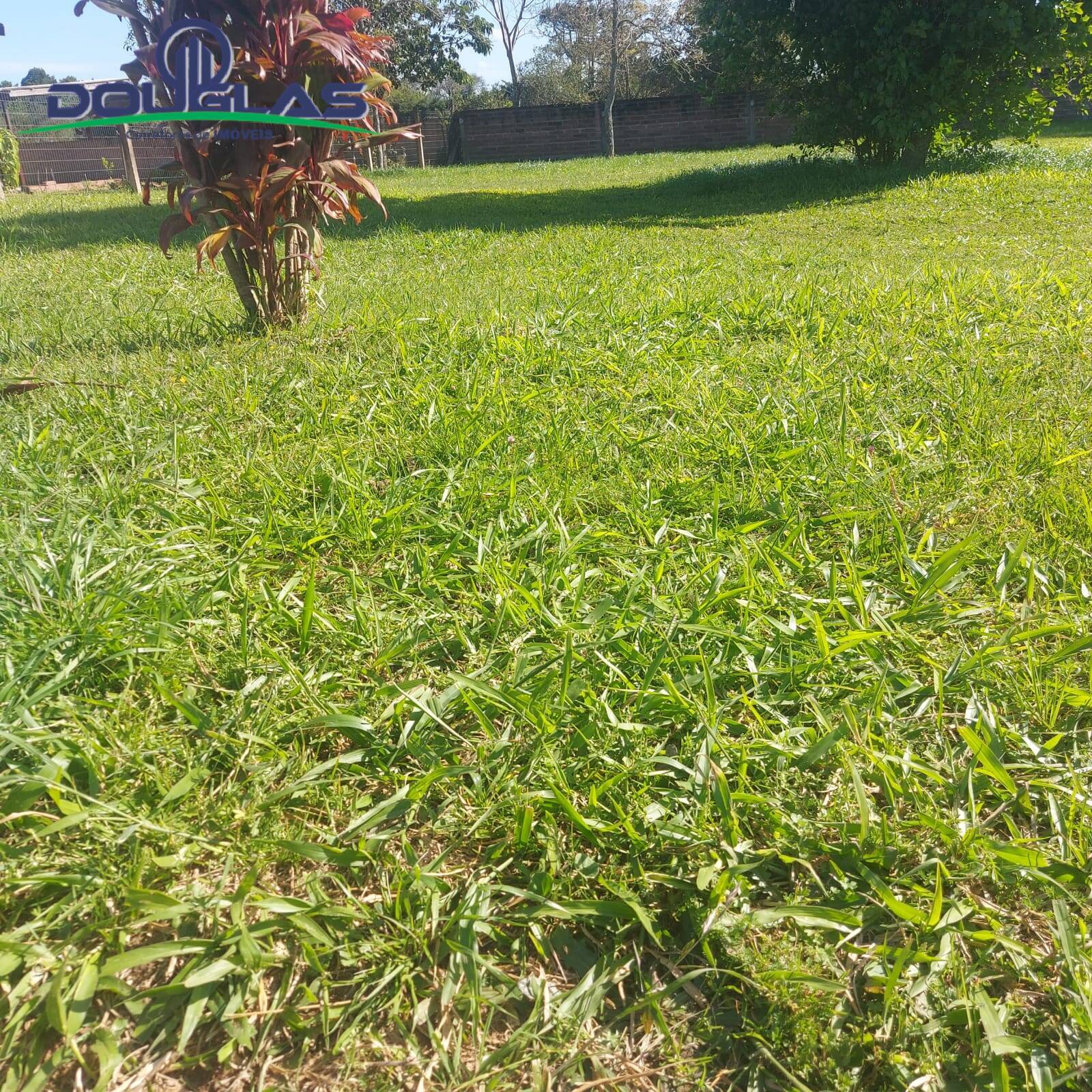 Terreno, 540 m² - Foto 7