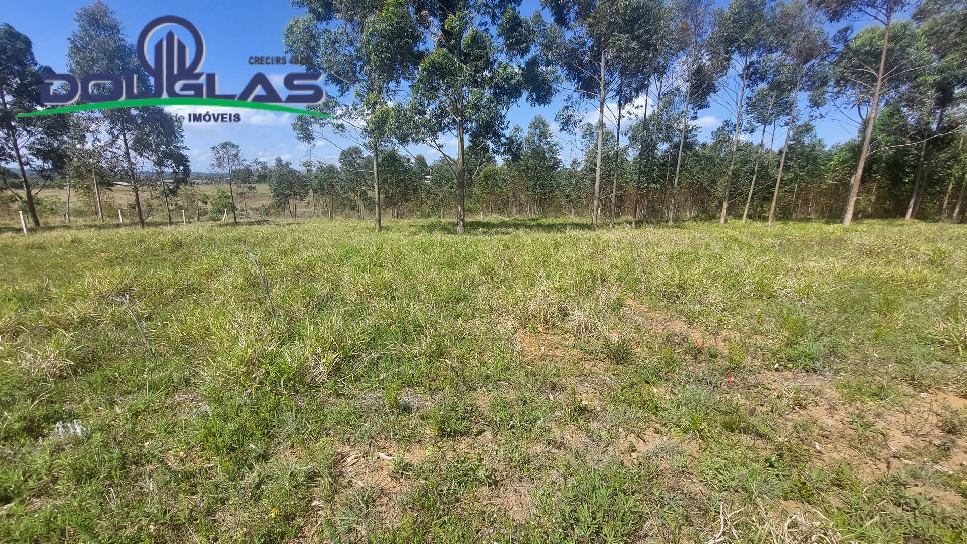 Terreno, 462 m² - Foto 2