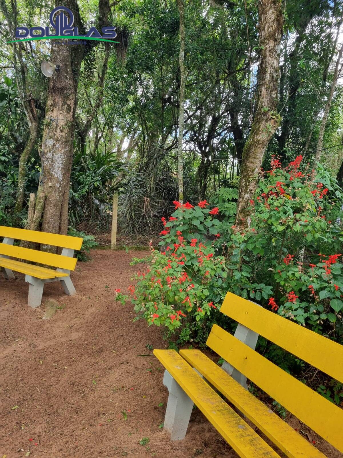 Casa, 2 quartos - Foto 31