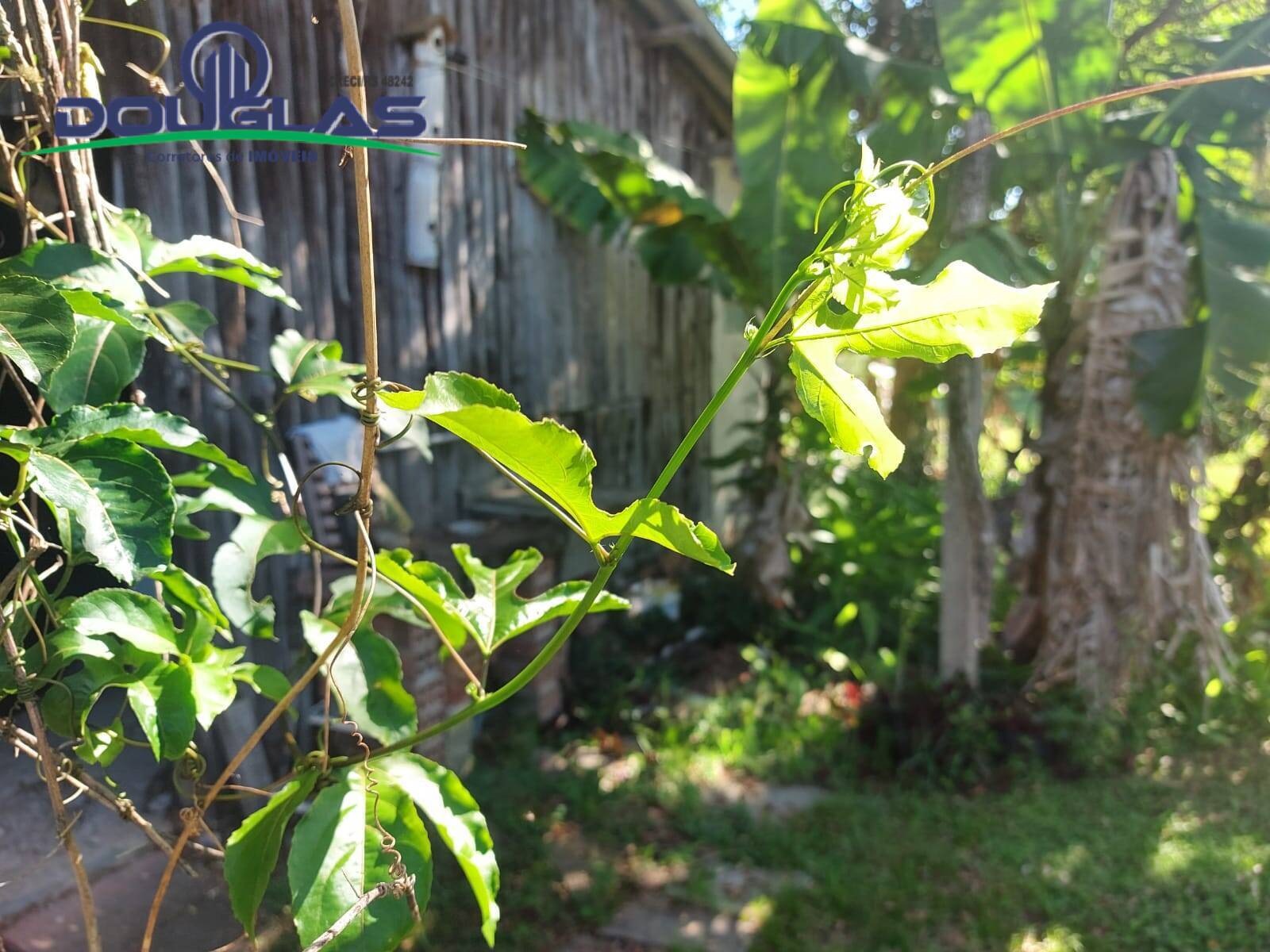 Casa, 3 quartos - Foto 21