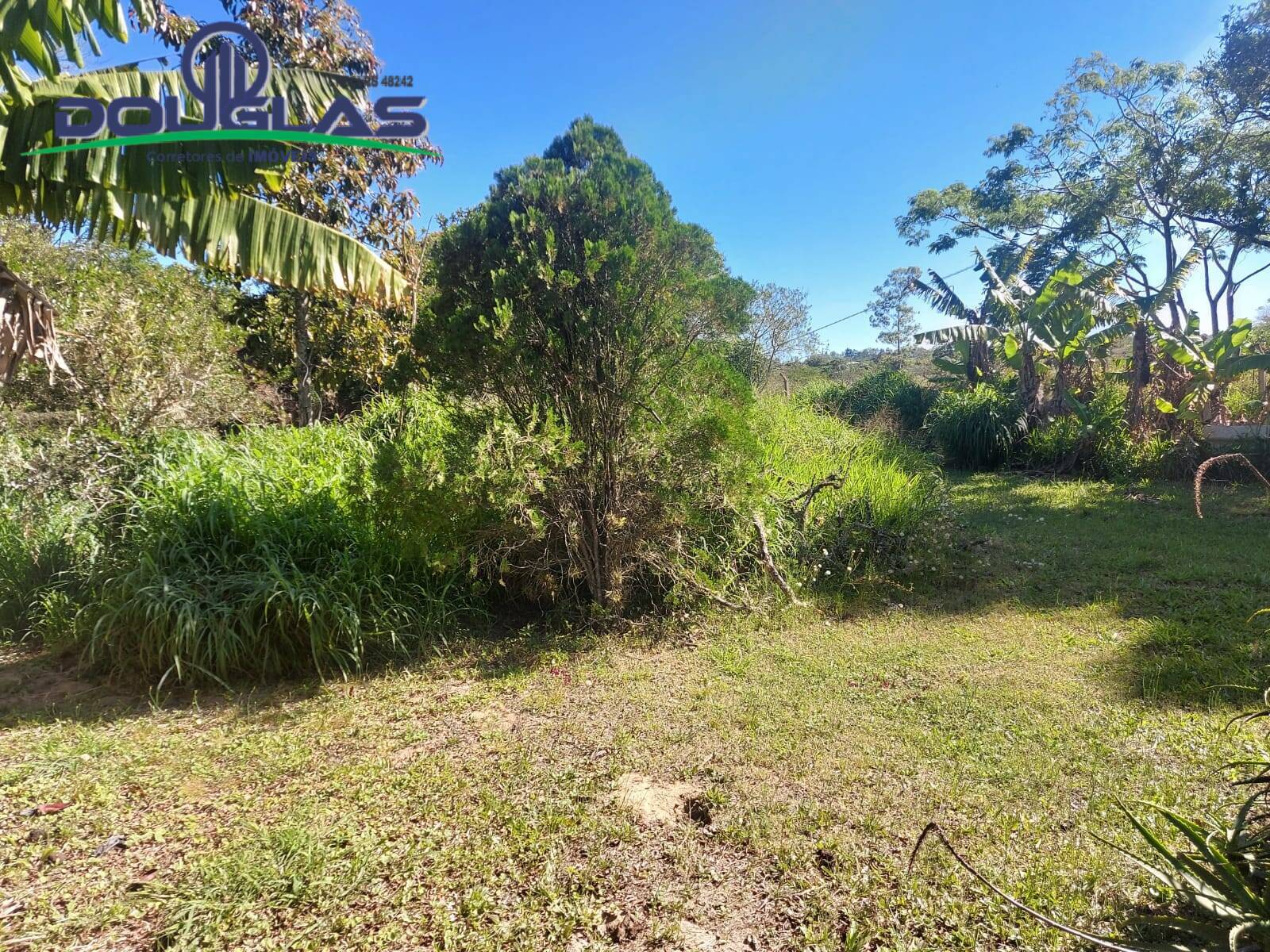 Casa, 3 quartos - Foto 23