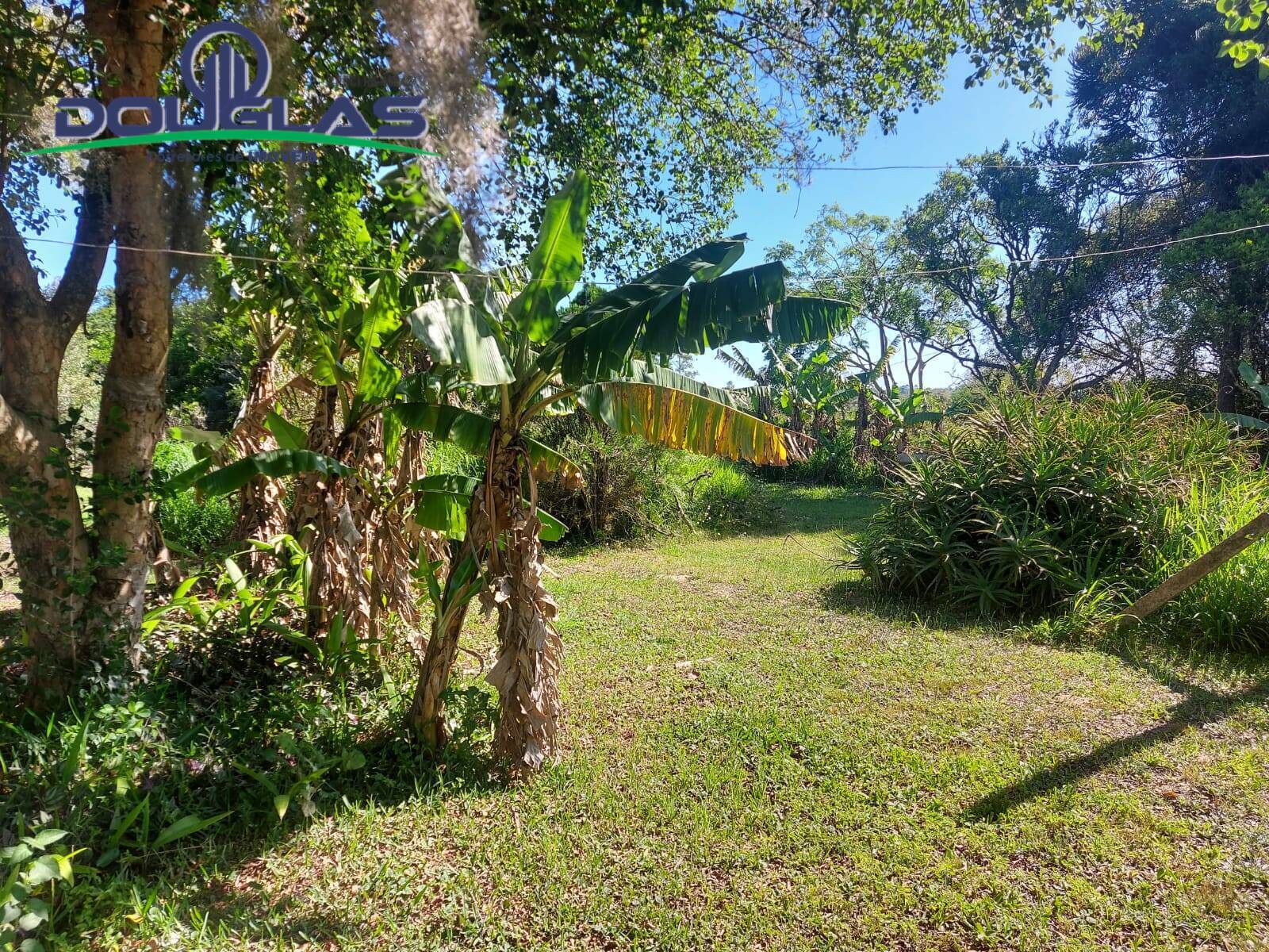 Casa, 3 quartos - Foto 24