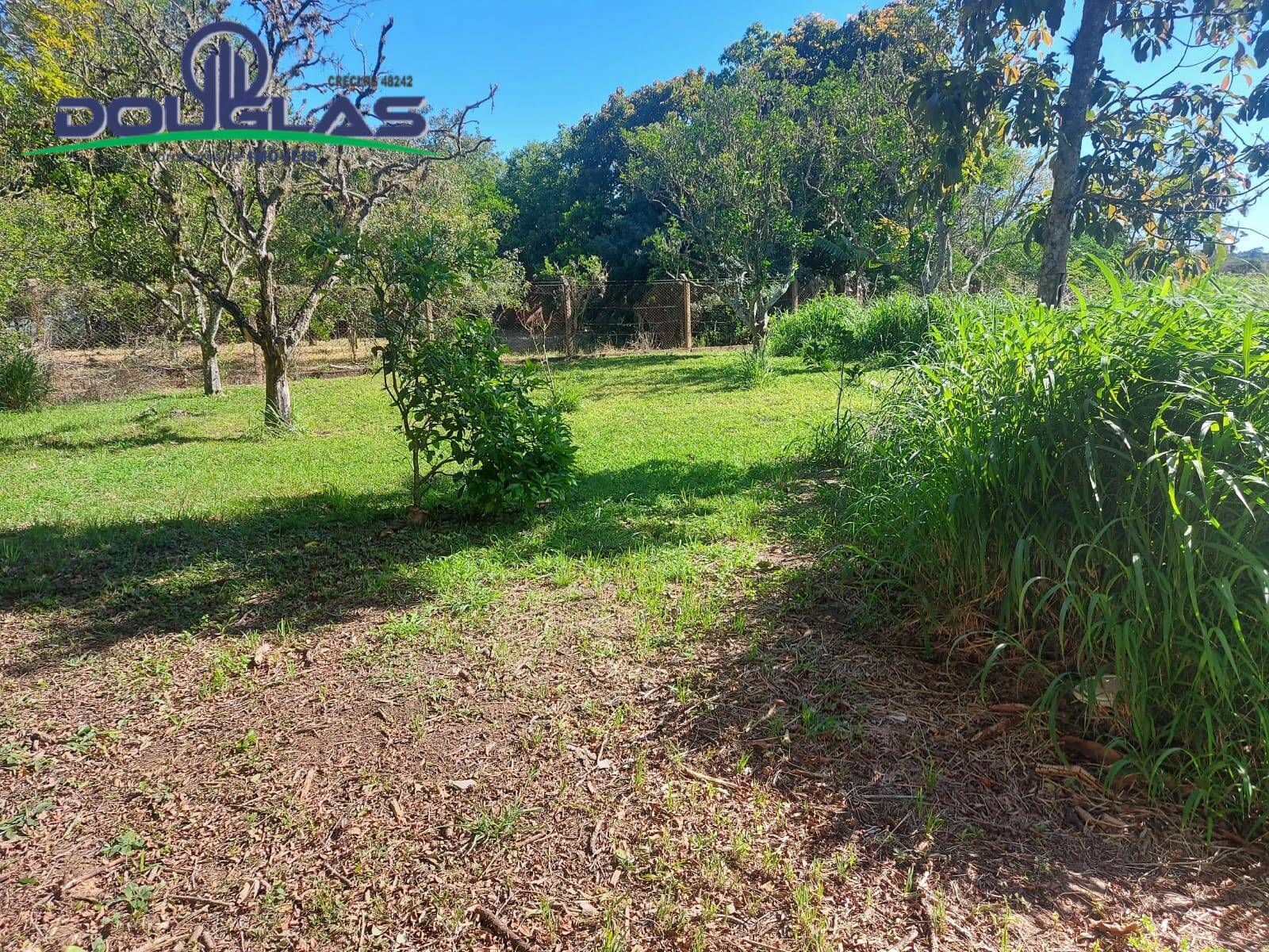 Casa, 3 quartos - Foto 25