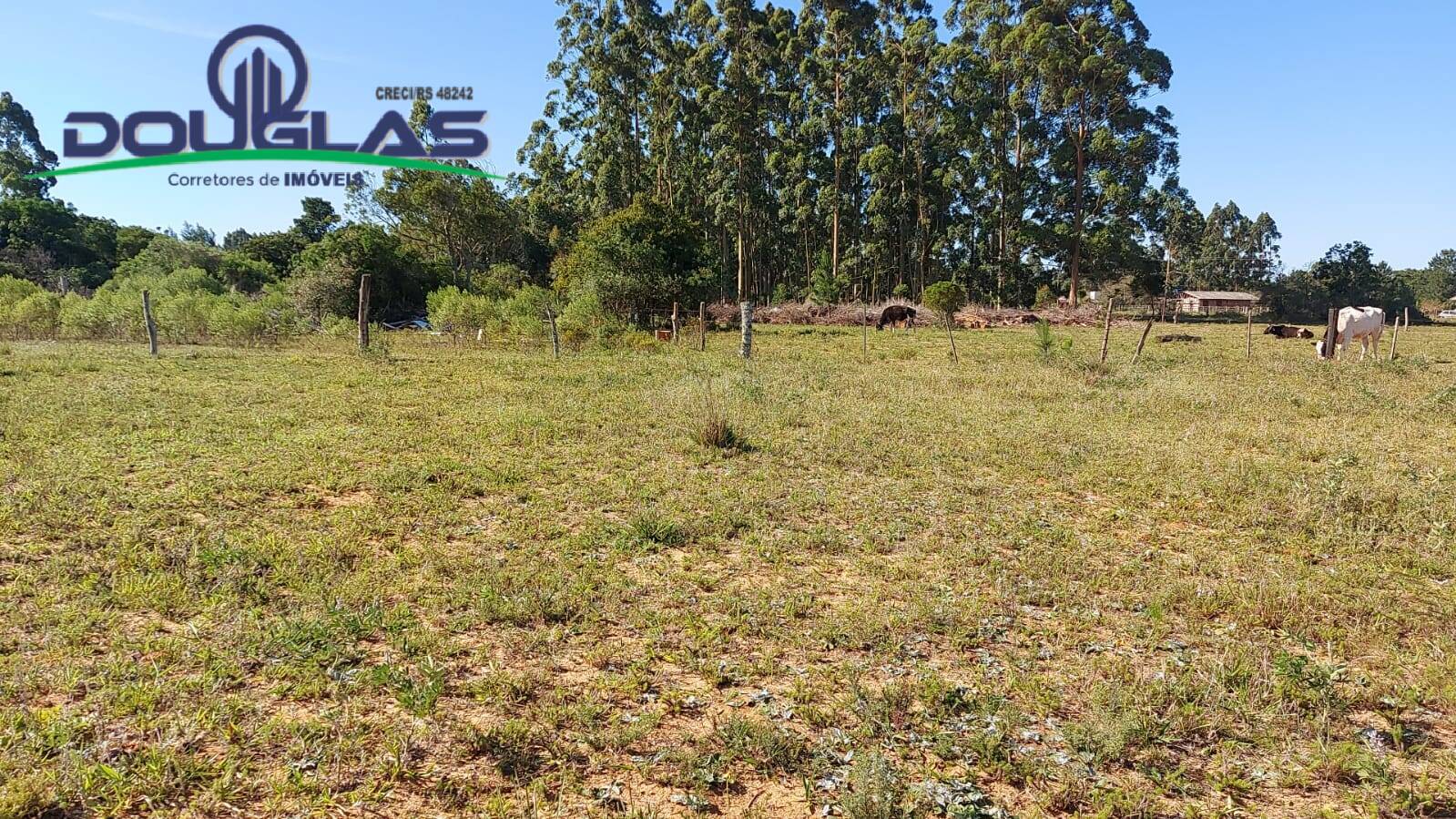 Terreno, 400 m² - Foto 6