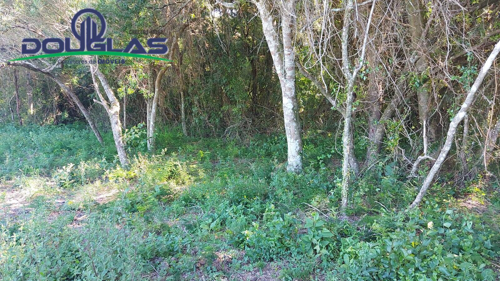 Terreno, 2400 m² - Foto 2