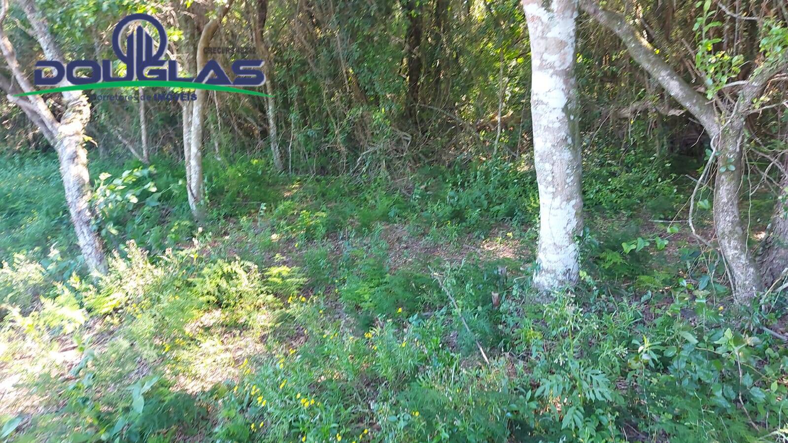 Terreno, 2400 m² - Foto 7