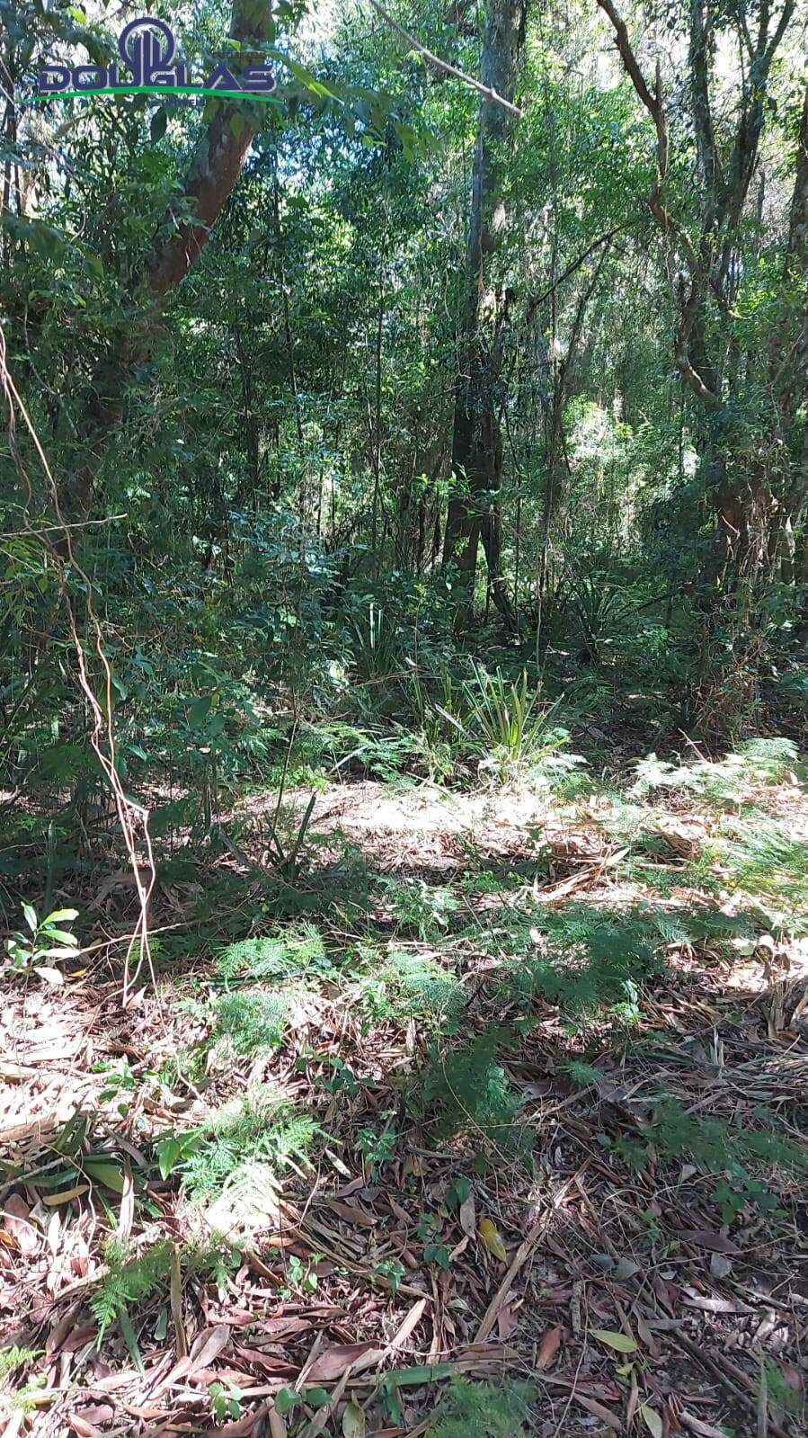 Terreno, 2400 m² - Foto 1