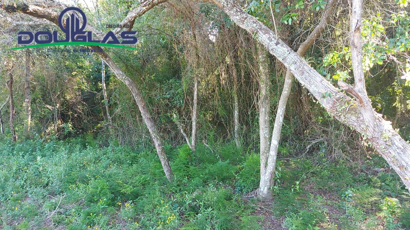 Terreno, 2400 m² - Foto 6