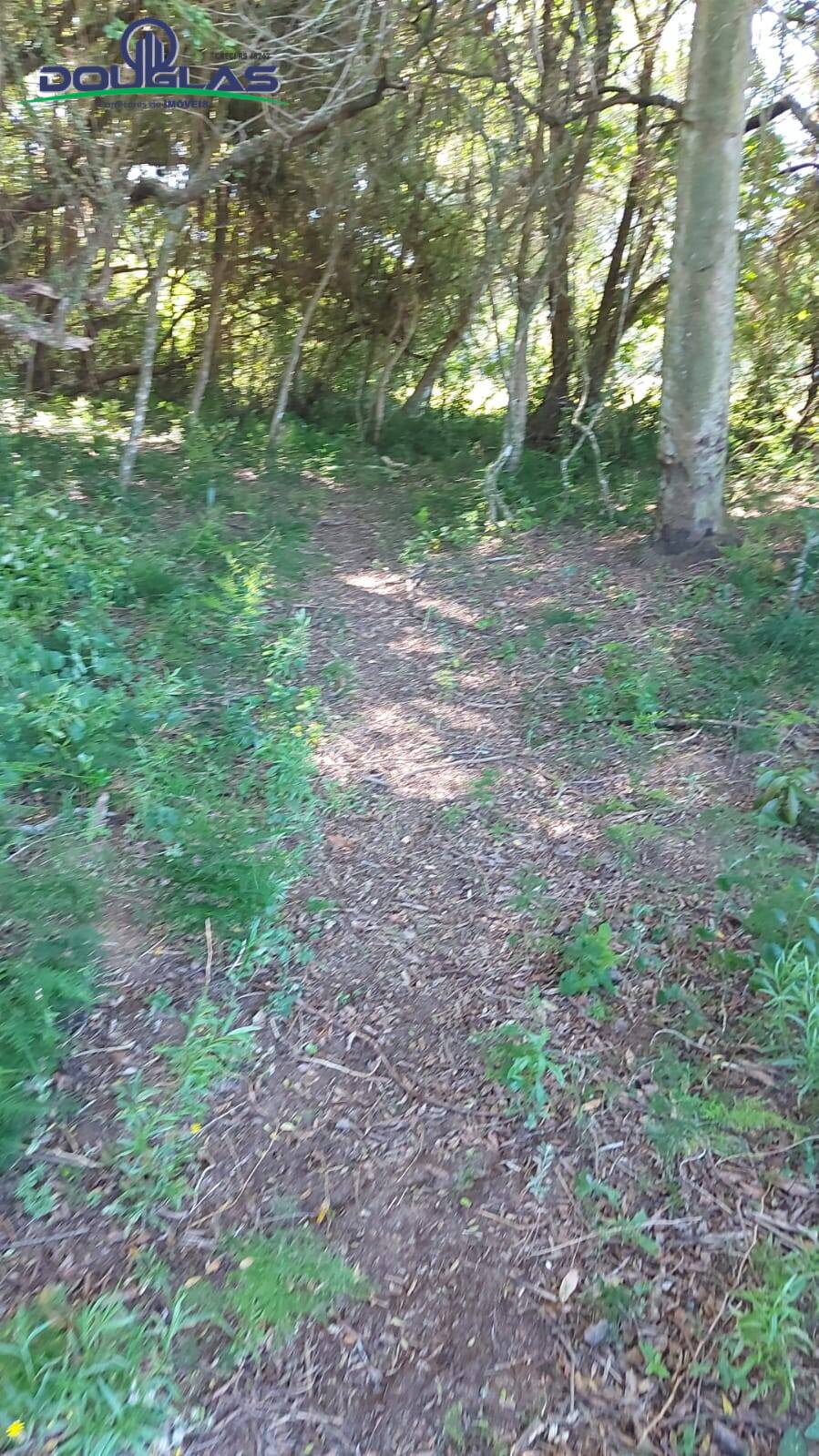 Terreno, 2400 m² - Foto 9