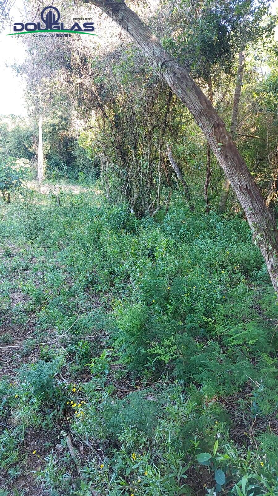 Terreno, 2400 m² - Foto 8