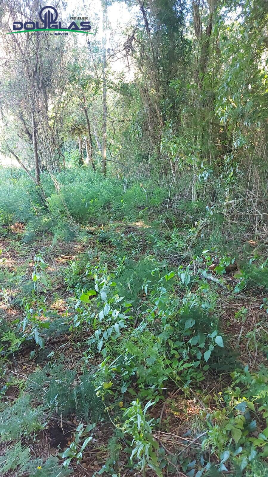 Terreno, 2400 m² - Foto 10