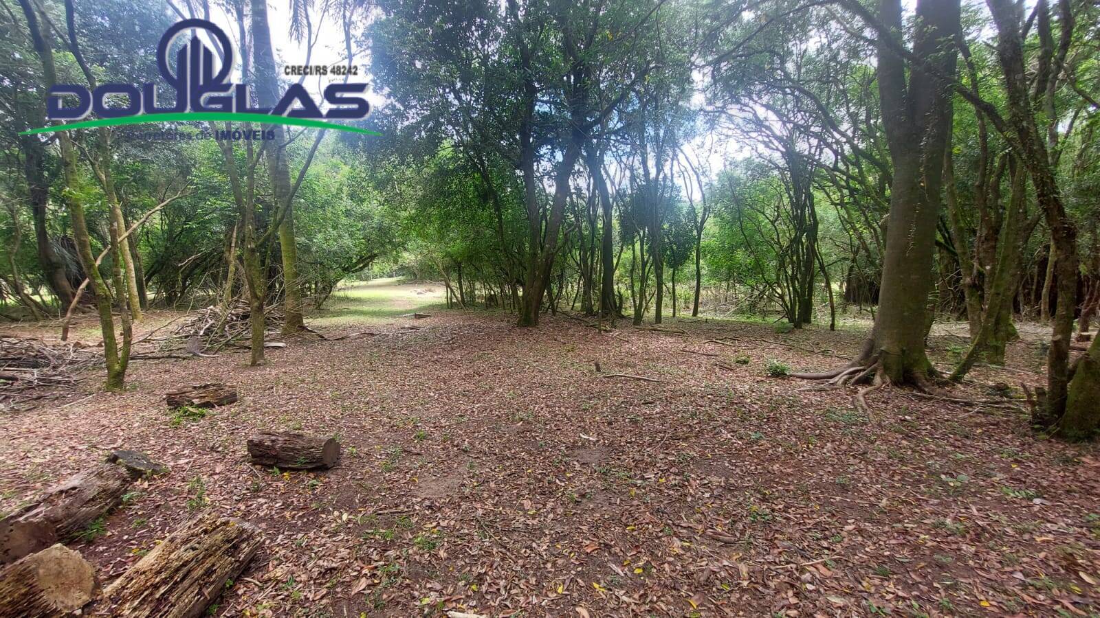Chácara à venda com 3 quartos, 4m² - Foto 13