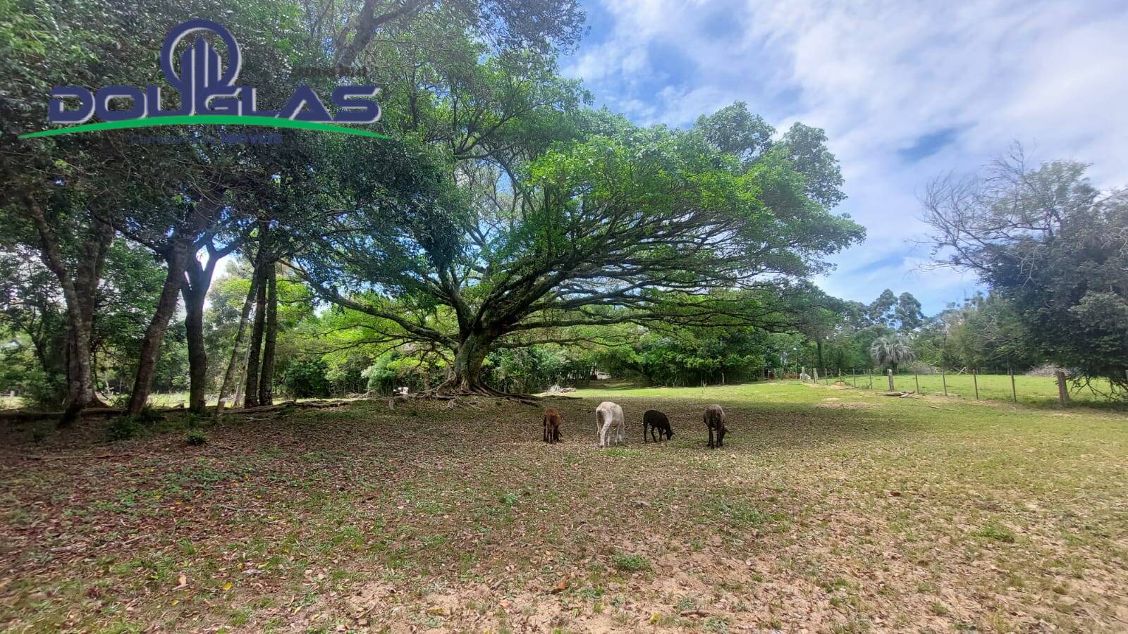 Chácara à venda com 3 quartos, 4m² - Foto 15