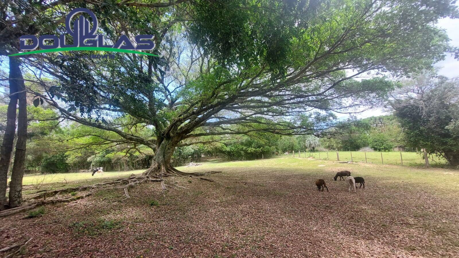 Chácara à venda com 3 quartos, 4m² - Foto 14