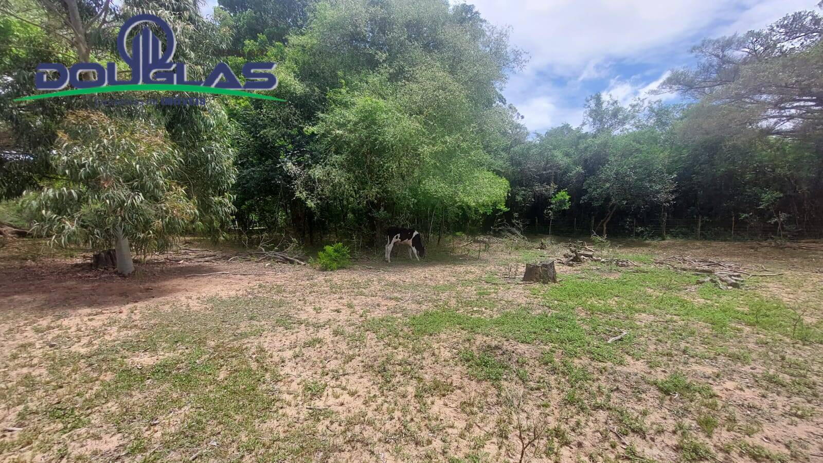 Chácara à venda com 3 quartos, 4m² - Foto 17