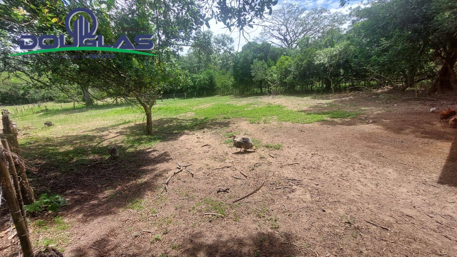 Chácara à venda com 3 quartos, 4m² - Foto 20