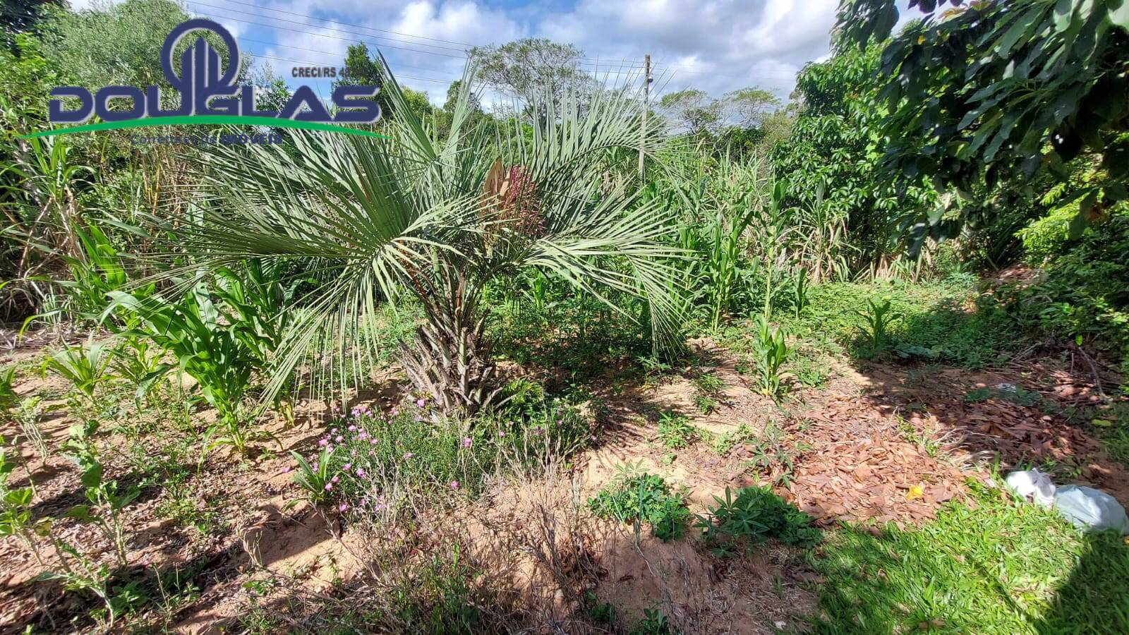 Casa, 2 quartos - Foto 17