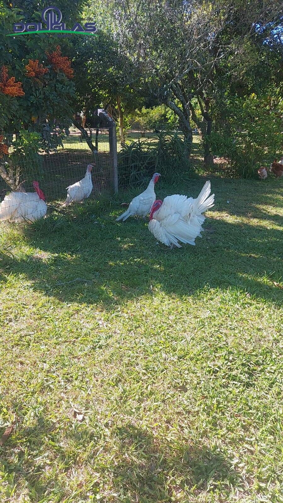 Casa, 1 quarto - Foto 9