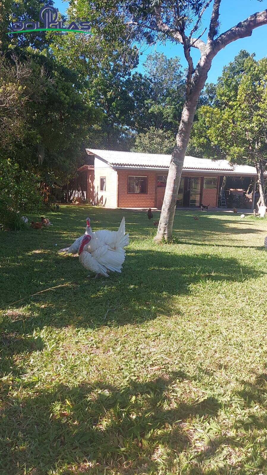 Casa, 1 quarto - Foto 3